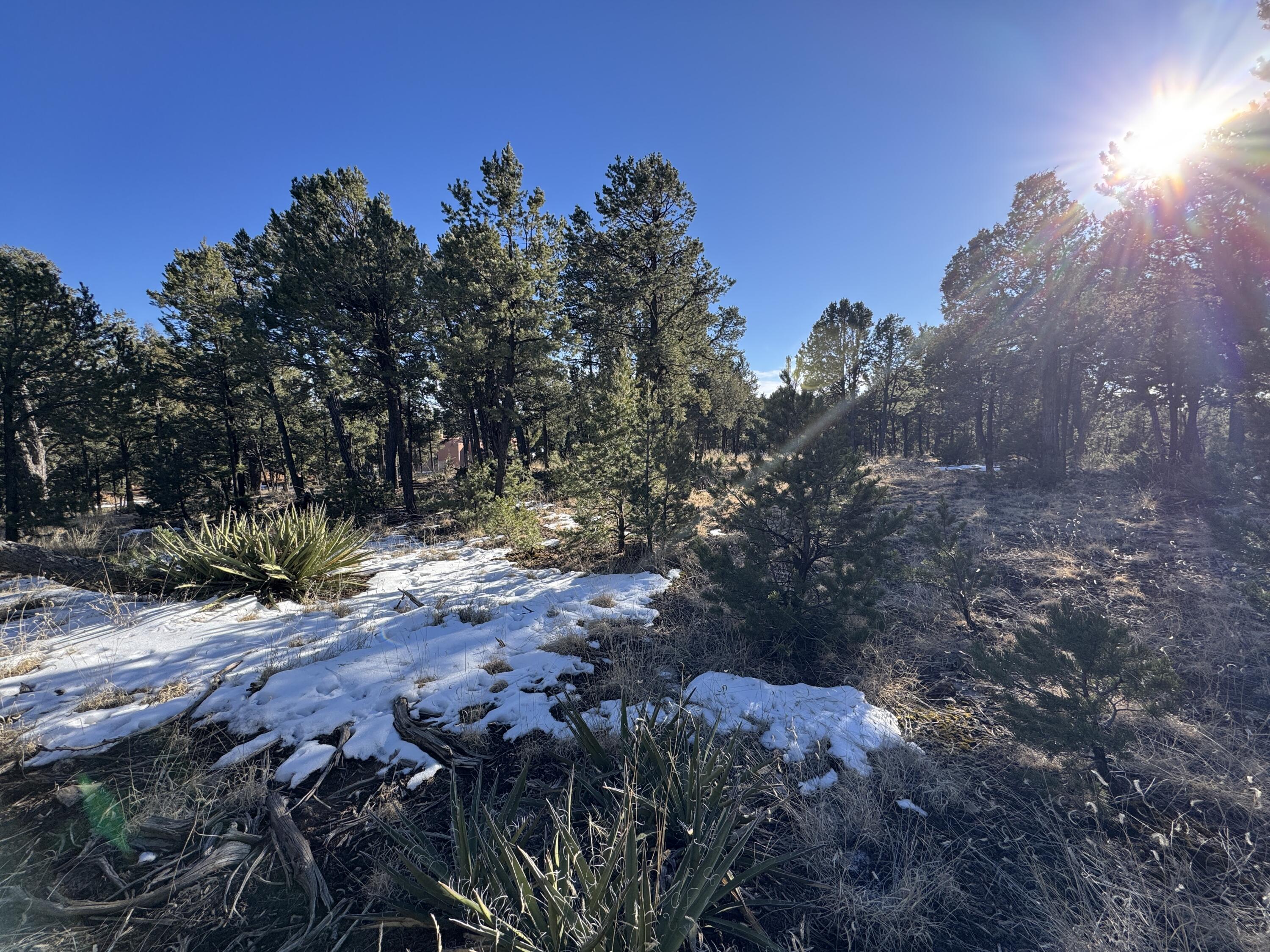 Photo 4 of Land for sale at Lot 20 Dancing Hawk Dr, Pecos, NM 87552 | MLS# 1110501 | Listing updated on 2026-09-08