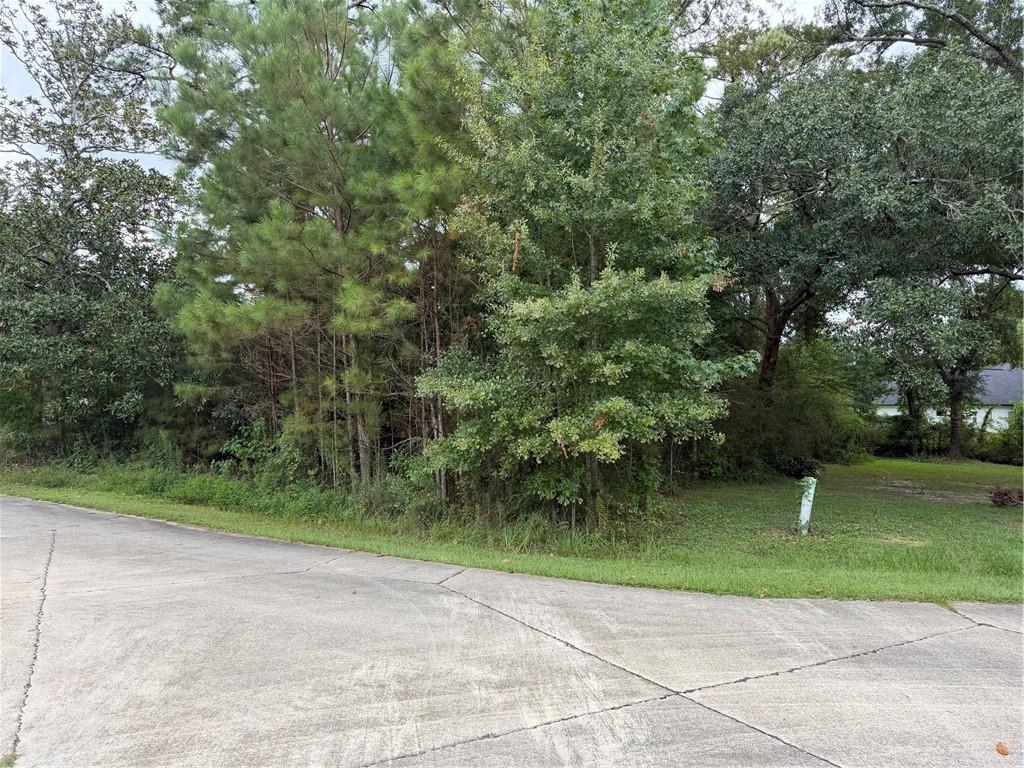Photo 2 of Land for sale at 205 Belle Grv Ct, Pearl River, LA 70452 | MLS# 2575926 | Listing updated on 2026-09-06
