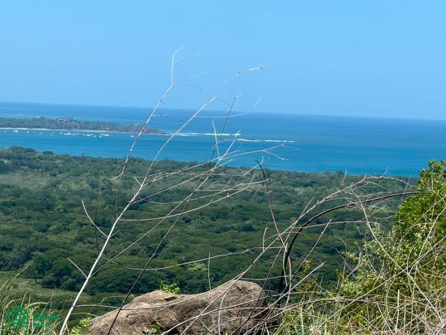  bed Land For Sale in Santa Cruz, Guanacaste - 1