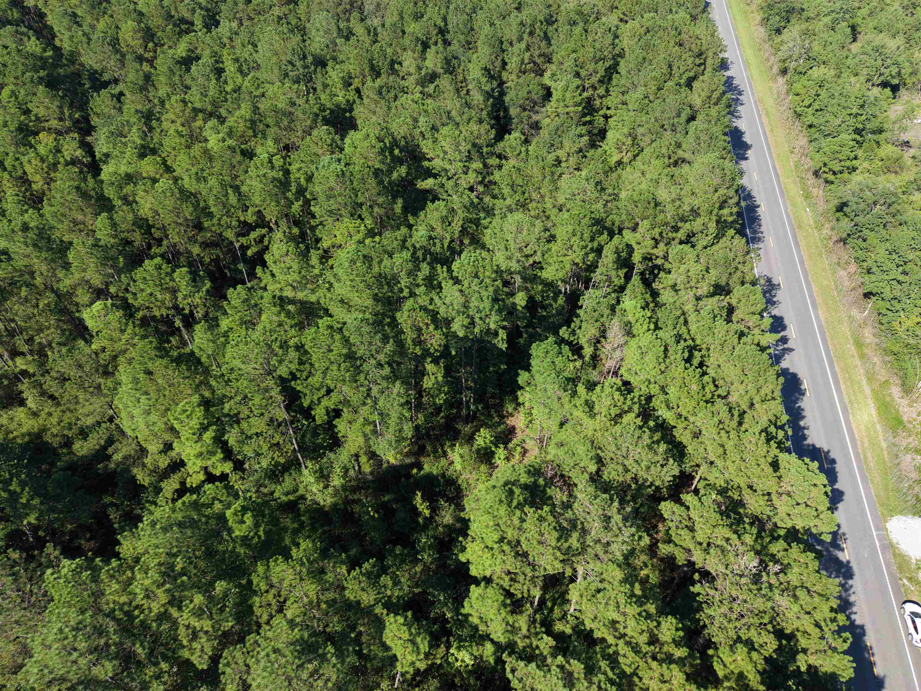 2622193 | Photo 4