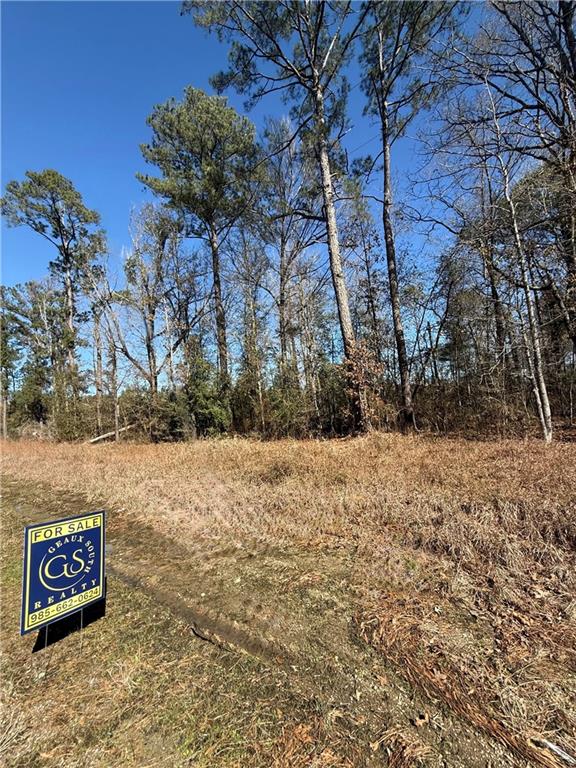 Photo 4 of Land for sale at 3 Acres Hwy 43, Independence, LA 70443 | MLS# 2576169 | Listing updated on 2026-09-08