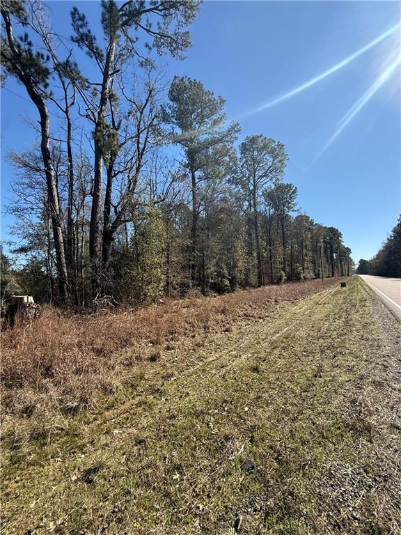 Photo 7 of Land for sale at 3 Acres Hwy 43, Independence, LA 70443 | MLS# 2576169 | Listing updated on 2026-09-08