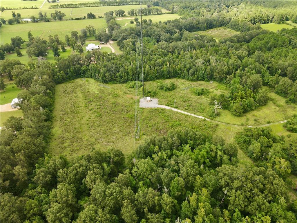 Photo 4 of Sale Pending at Cw-3 Savoie Ln, Loranger, LA 70446 | MLS# 2575394 | Listing updated on 2026-09-08