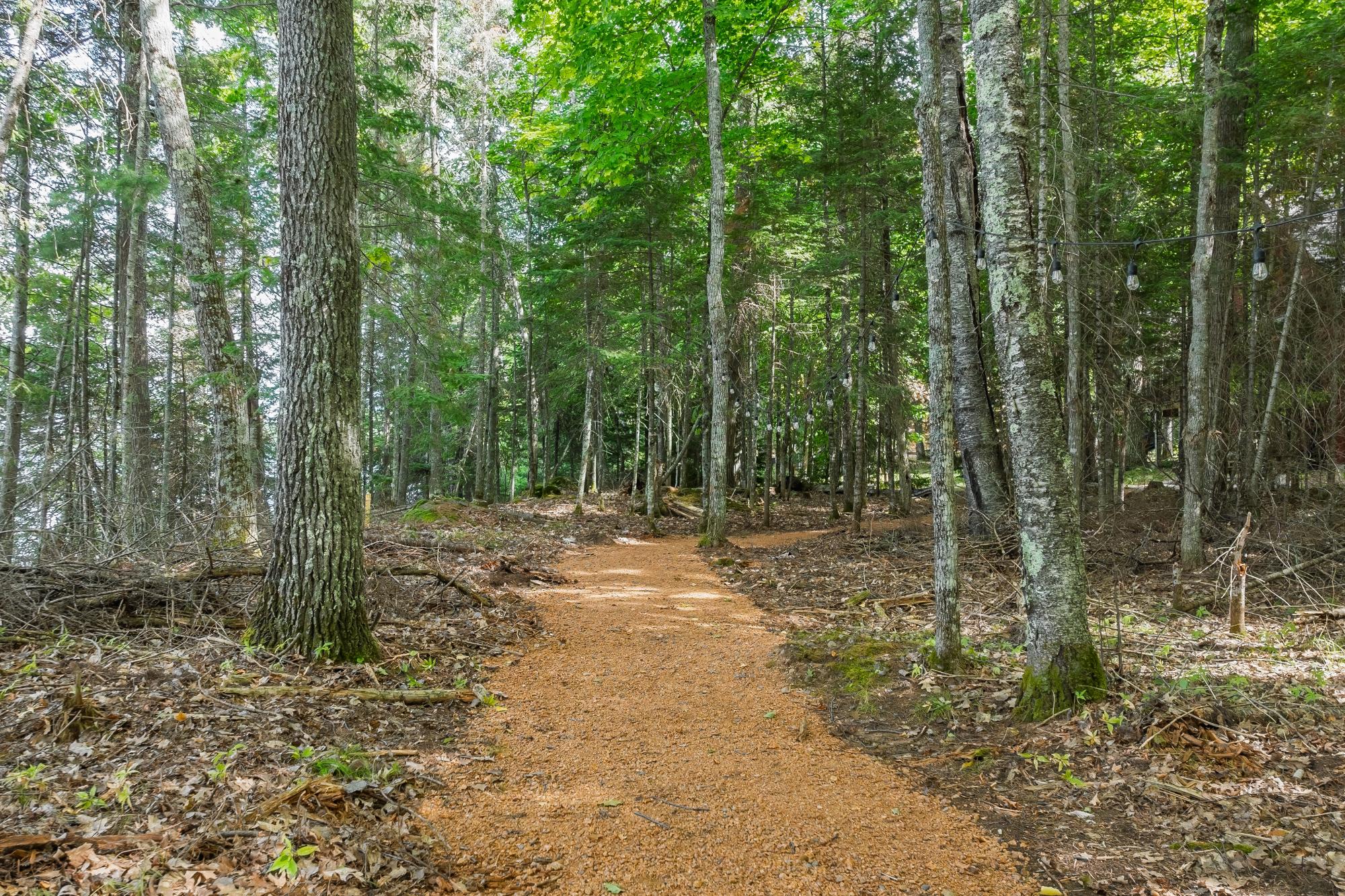 Lac Vieux Desert Property Off Anton Trl Photo 13