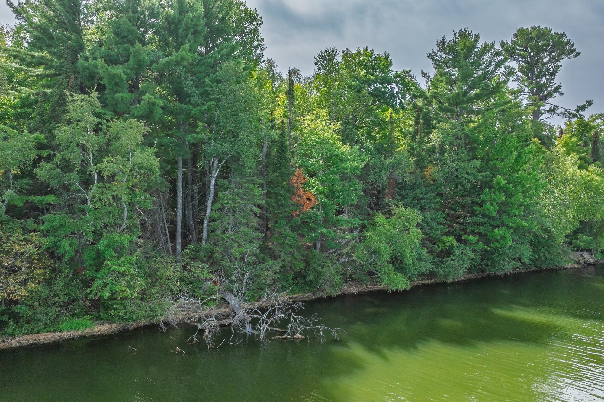 Lac Vieux Desert Property Off Anton Trl Photo 18
