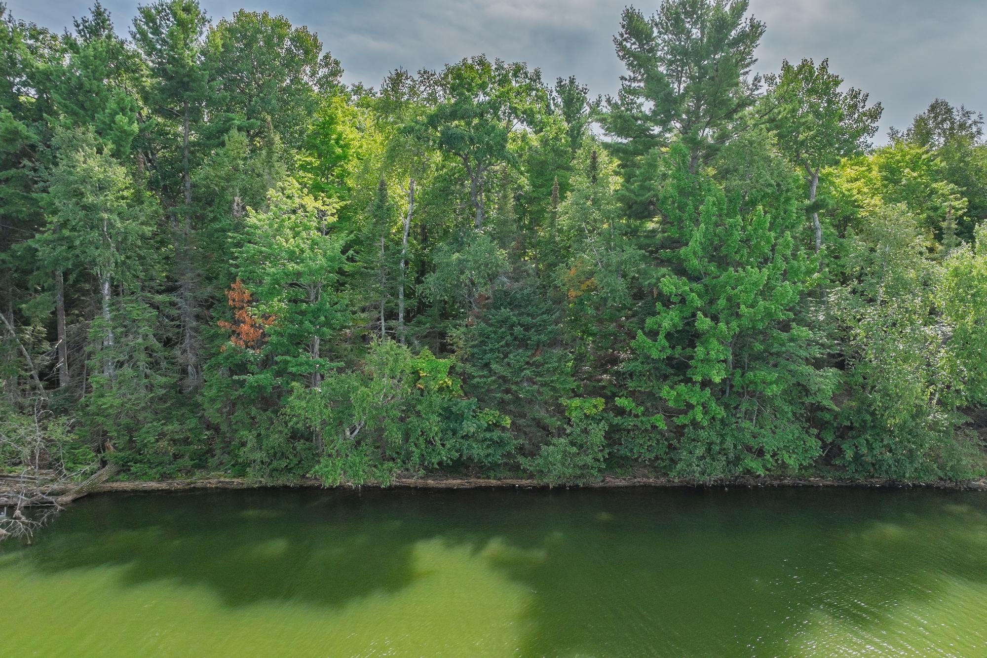 Lac Vieux Desert Property Off Anton Trl Photo 19