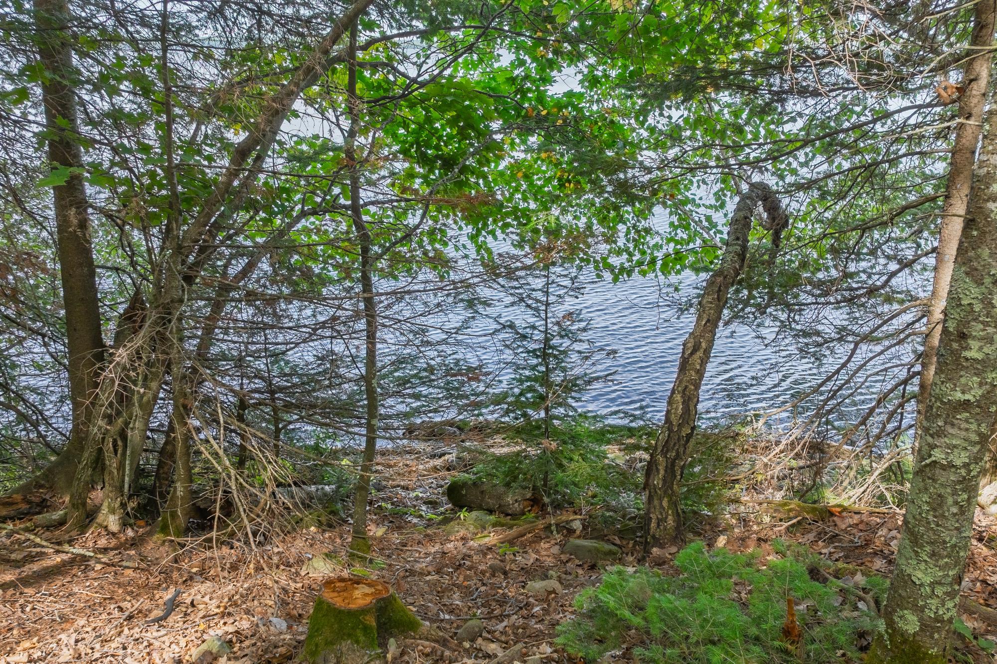 Lac Vieux Desert Property Off Anton Trl Photo 9