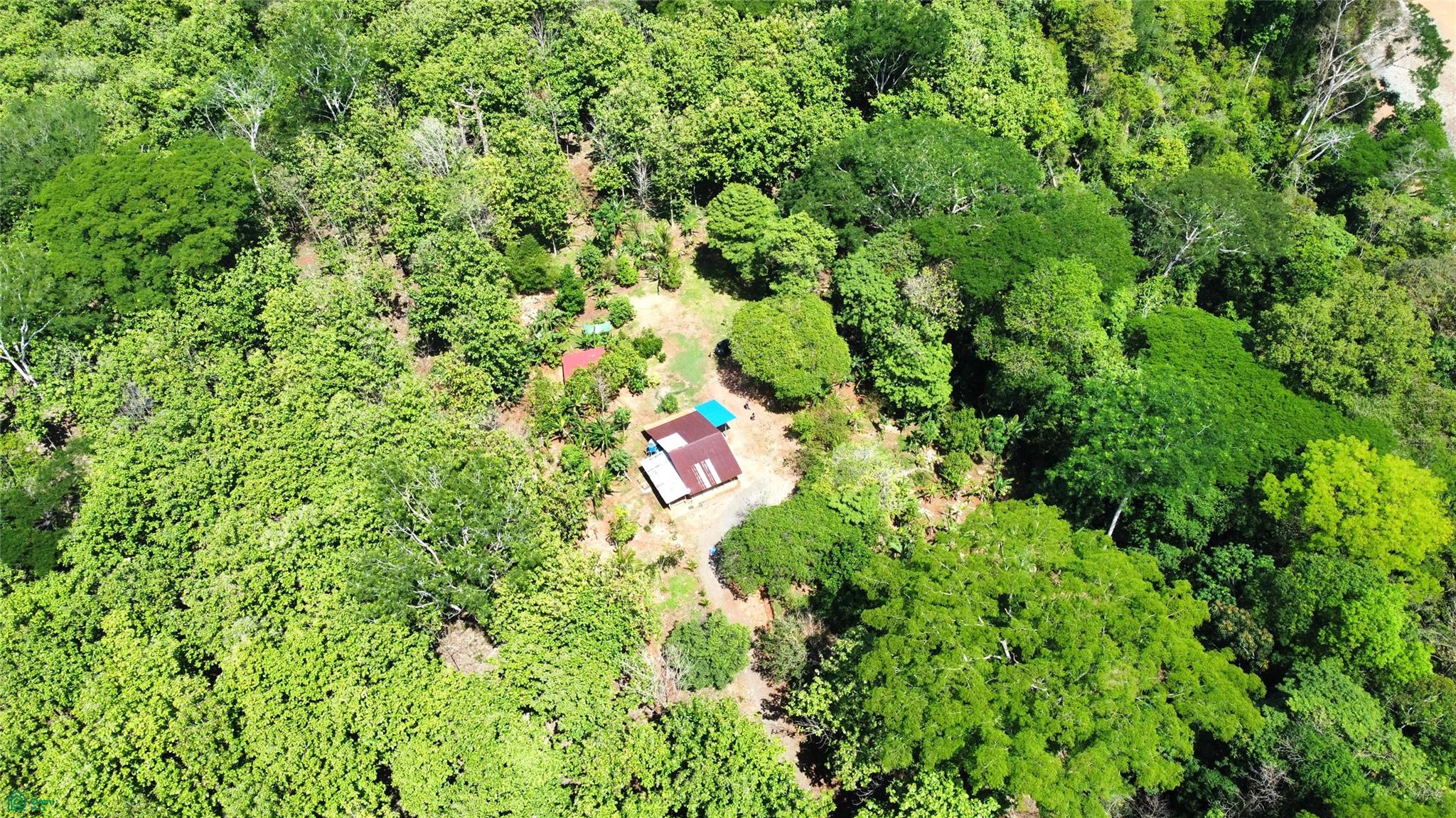  bed Land For Sale in Parrita, Puntarenas - 1