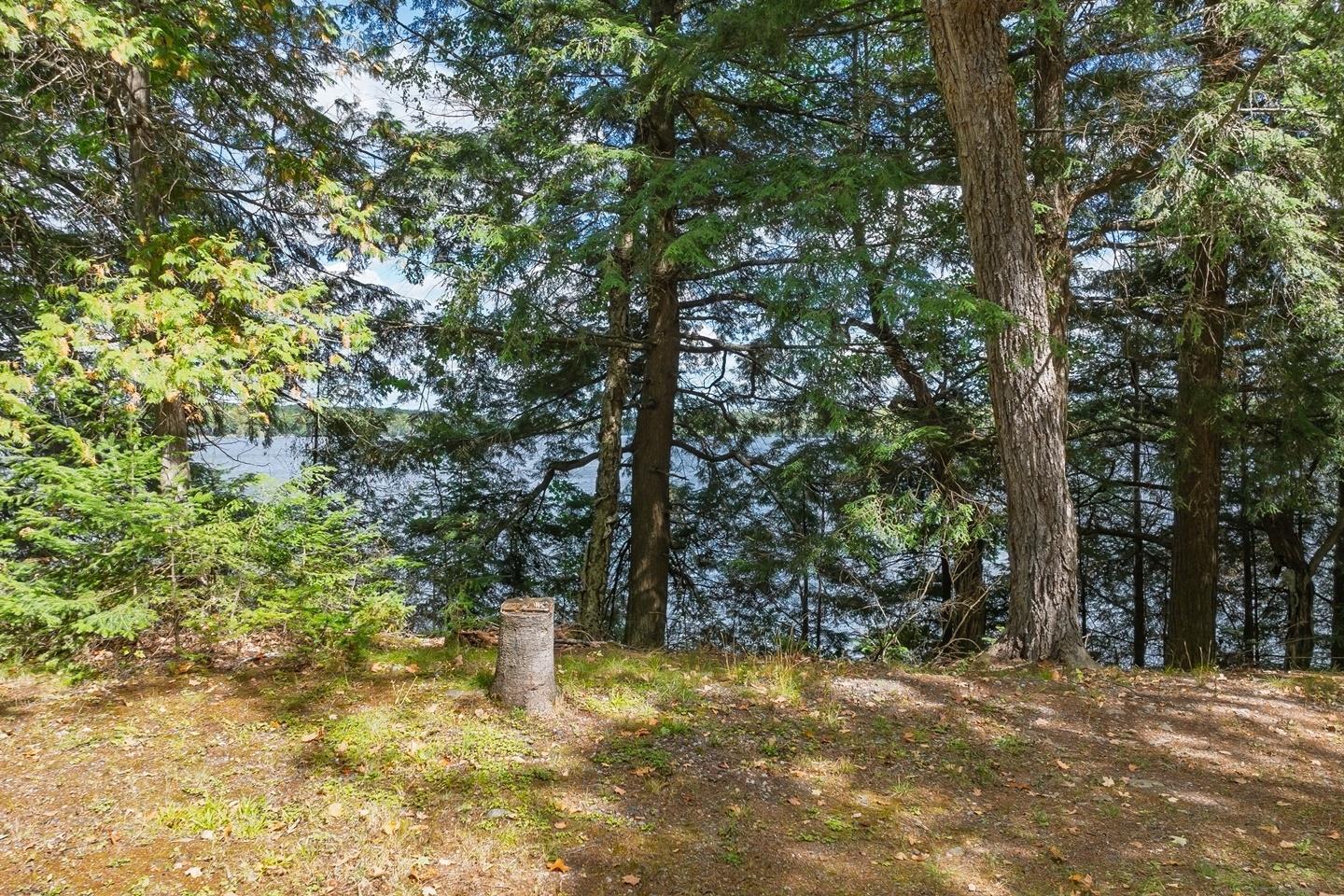 South Turtle Lake Property 7560 Keppler Rd Photo 73