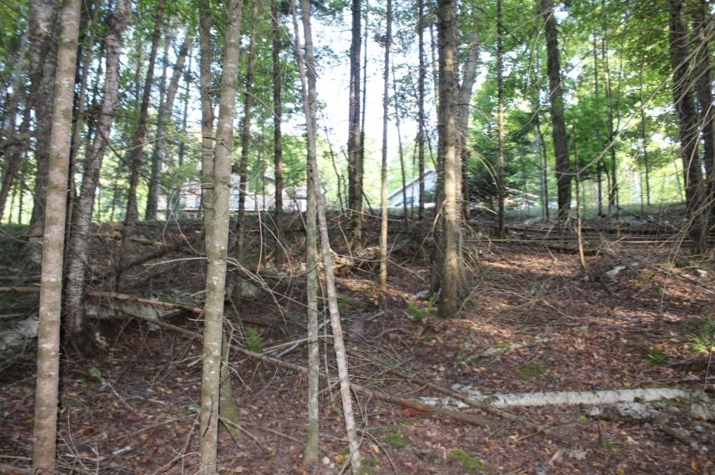 Crane Lake Property Lot 4 Forest Ln Photo 31