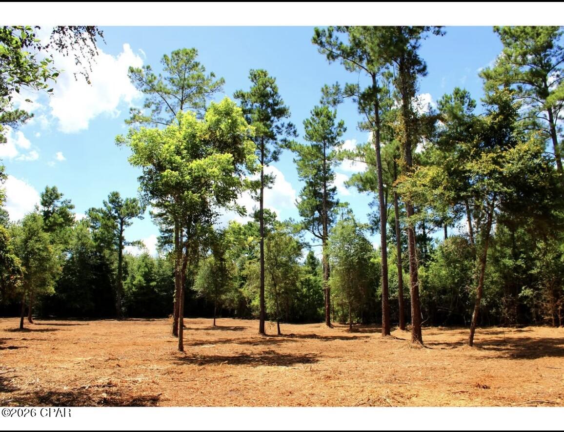 Photo 3 of Land for sale at 00 Reserve Dr, Marianna, FL 32446 | MLS# 795394 | Listing updated on 2026-10-14