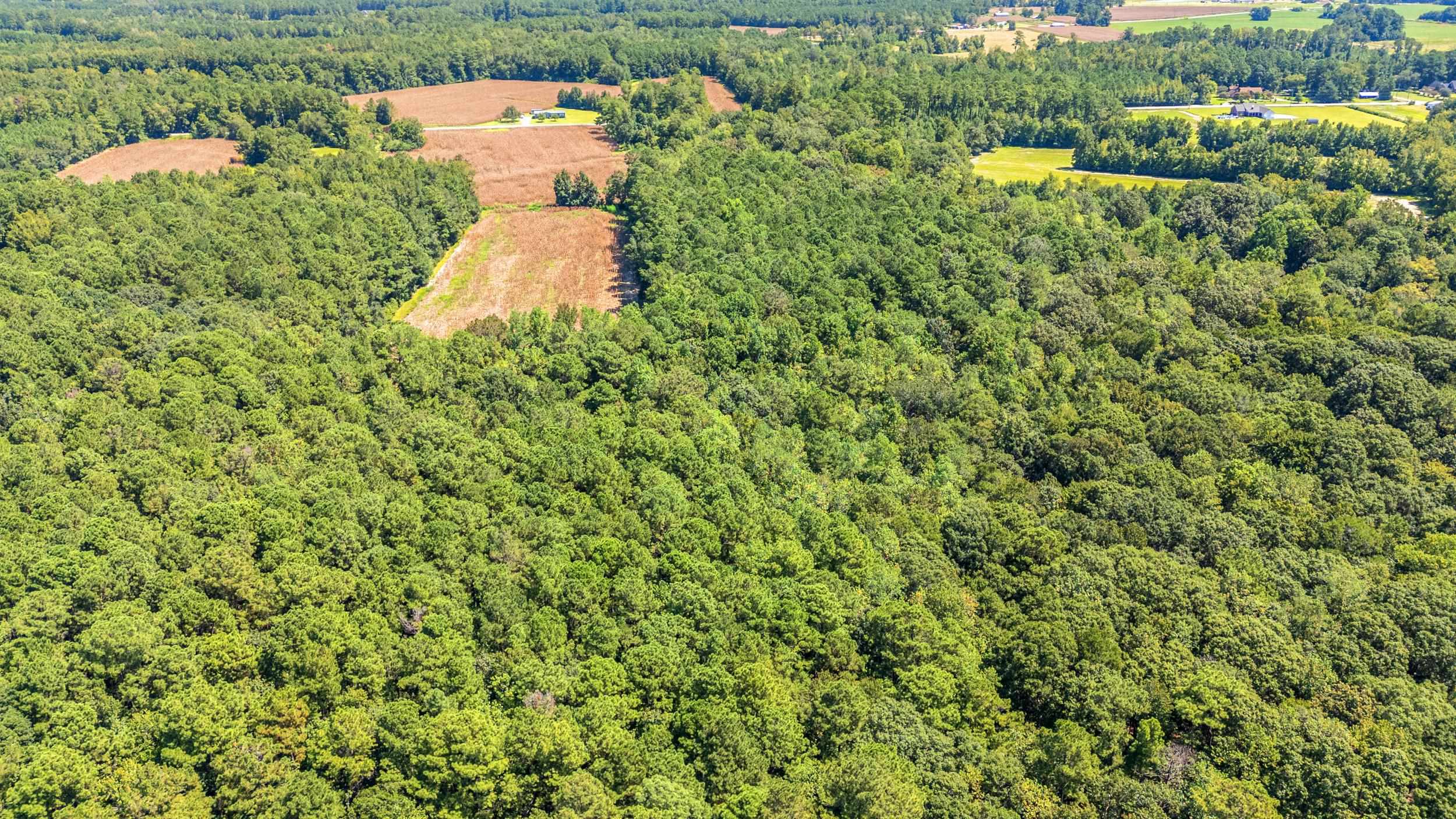 Land for sale at Tbd Myrtle W Dr, Loris, SC 29569 | MLS# 2622765