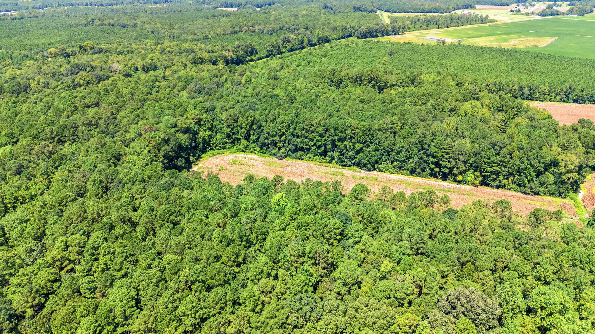Photo 4 of Land for sale at Tbd Myrtle W Dr, Loris, SC 29569 | MLS# 2622765 | Listing updated on 2026-09-15