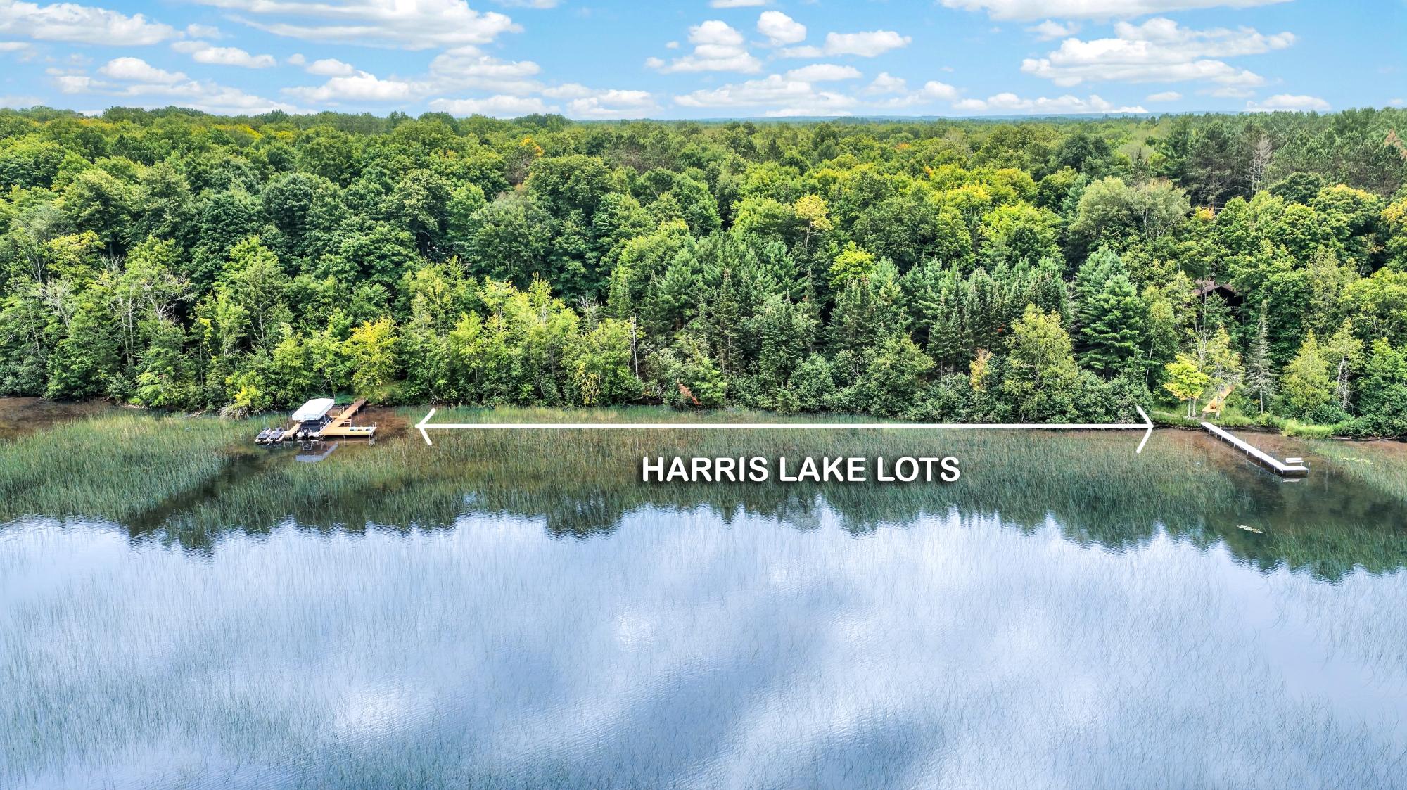 Harris Lake Property 6244 Lakeshore Dr Photo 18