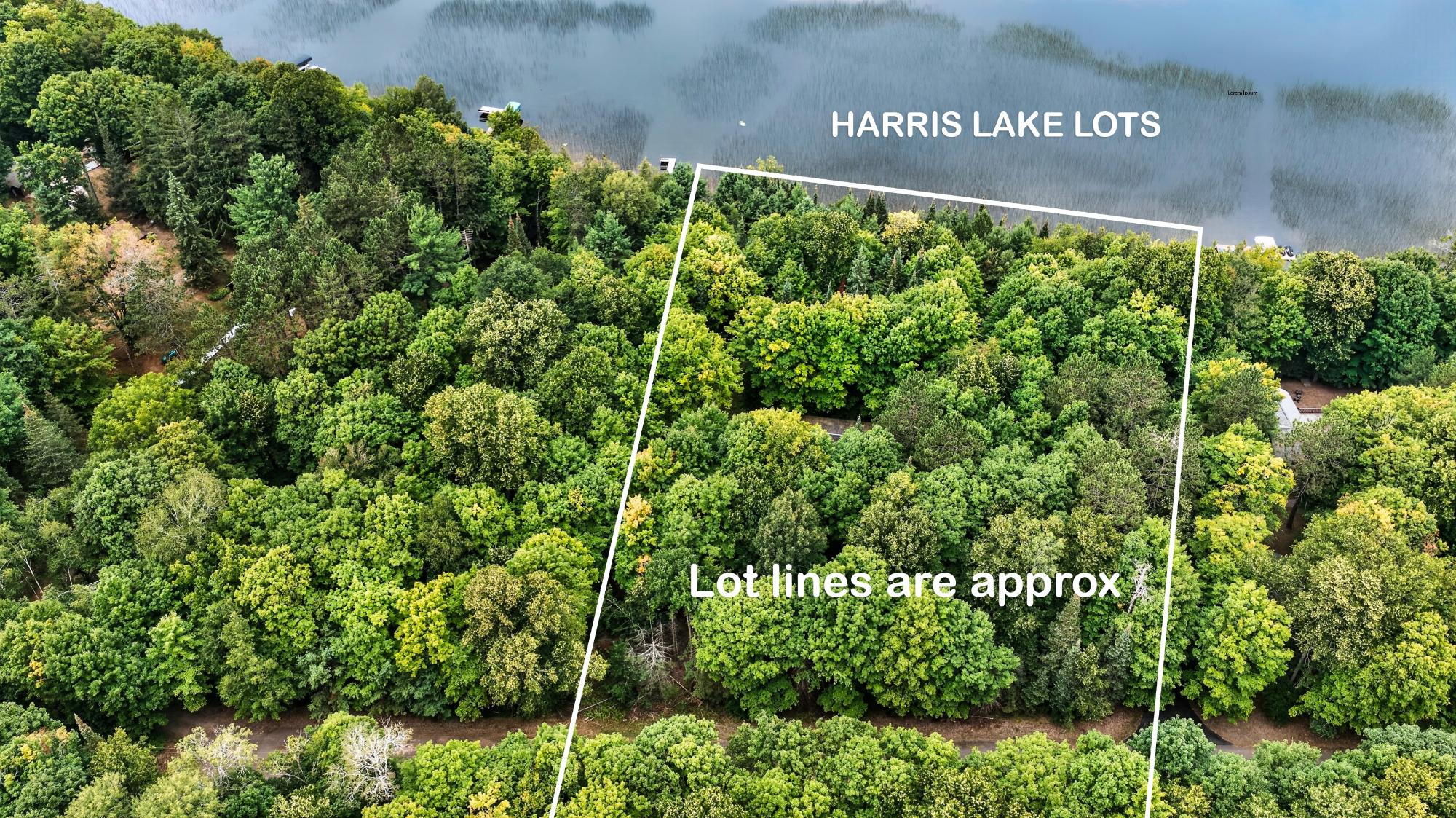 Harris Lake Property 6244 Lakeshore Dr Photo 7