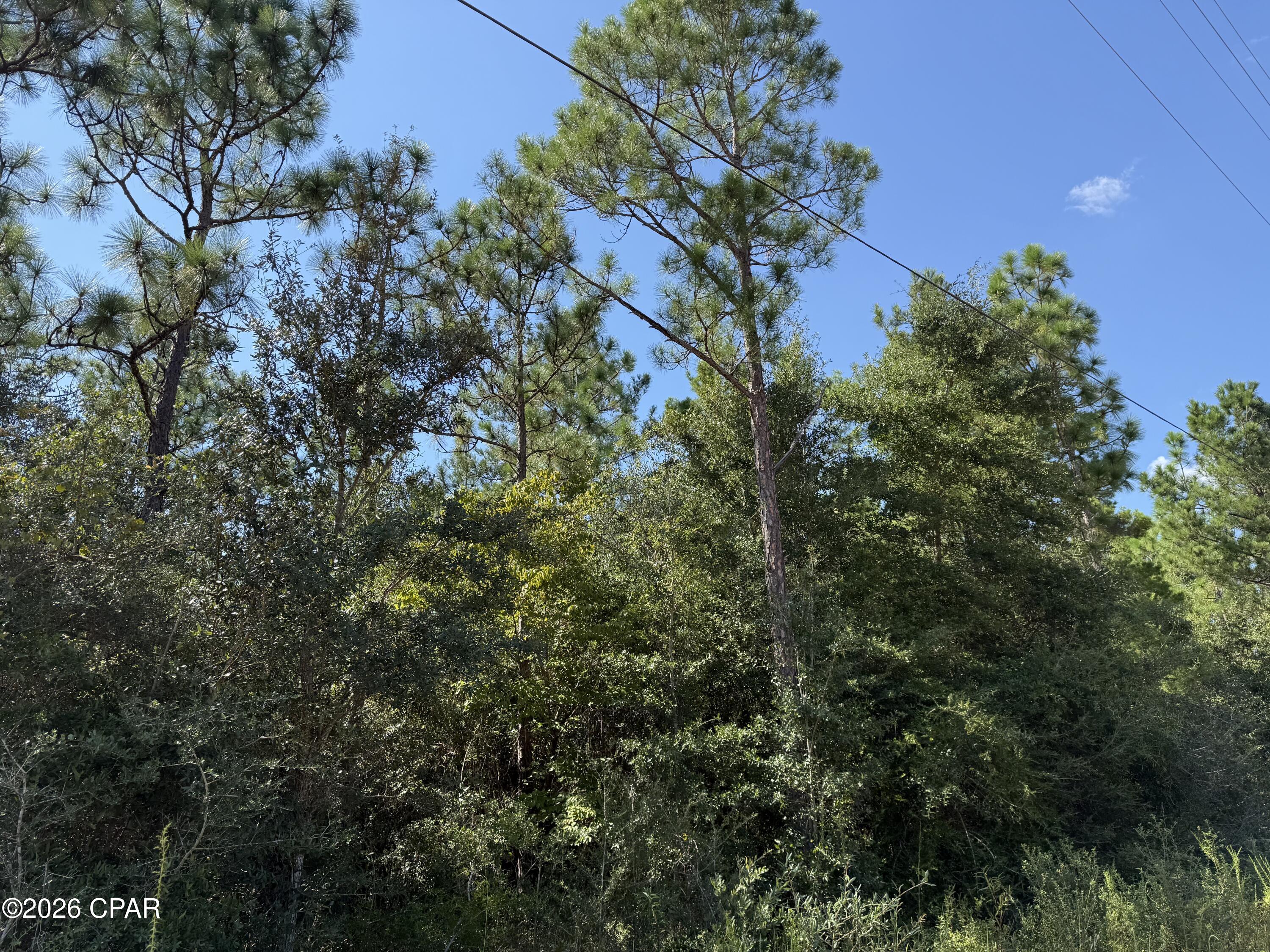 Photo 3 of Land for sale at 0000 Crossvine Ct, Chipley, FL 32428 | MLS# 795466 | Listing updated on 2026-09-16