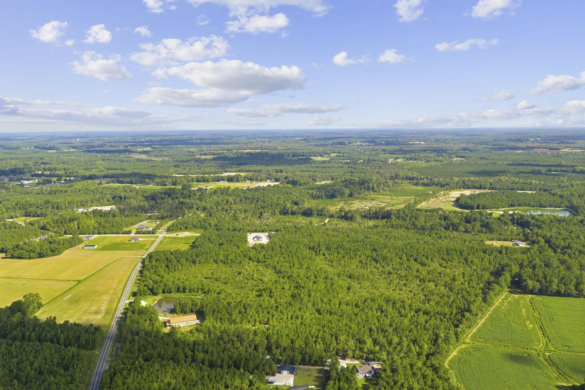 Photo 3 of Land for sale at Lot 10 Ellwood Rd, Galivants Ferry, SC 29544 | MLS# 2622893 | Listing updated on 2026-09-16
