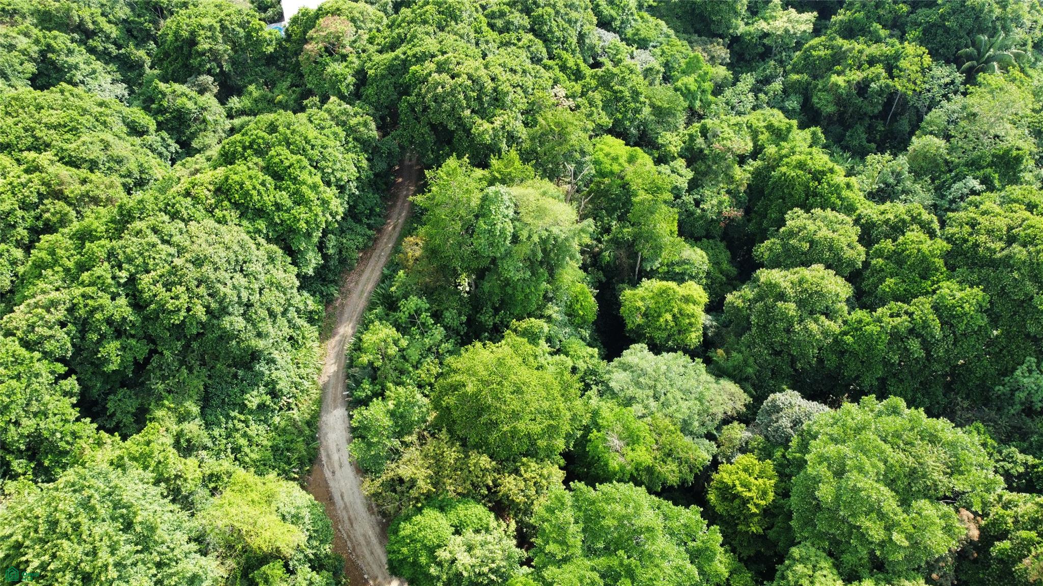  bed Land For Sale in Parrita, Puntarenas - 1
