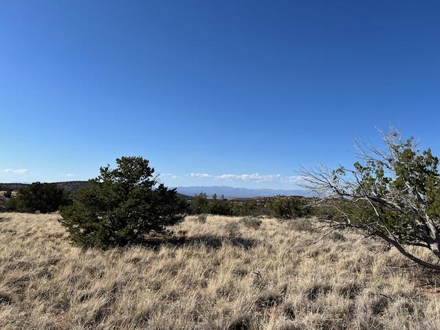 Land for sale at 237 Meadows Rd, Placitas, NM 87043 | MLS# 1111081