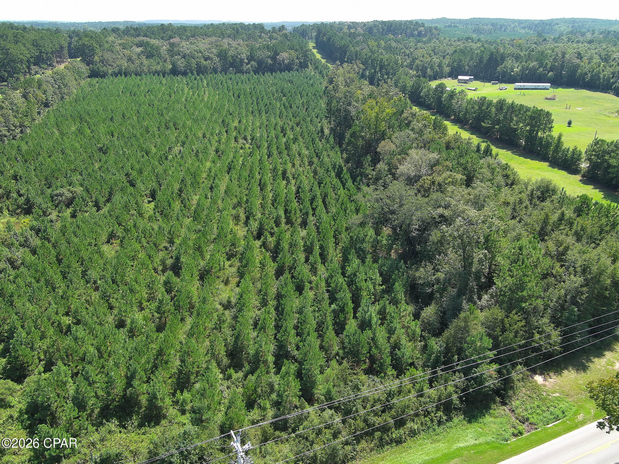 Photo 3 of Land for sale at Tbd Pioneer Rd, Chipley, FL 32428 | MLS# 795528 | Listing updated on 2026-09-17