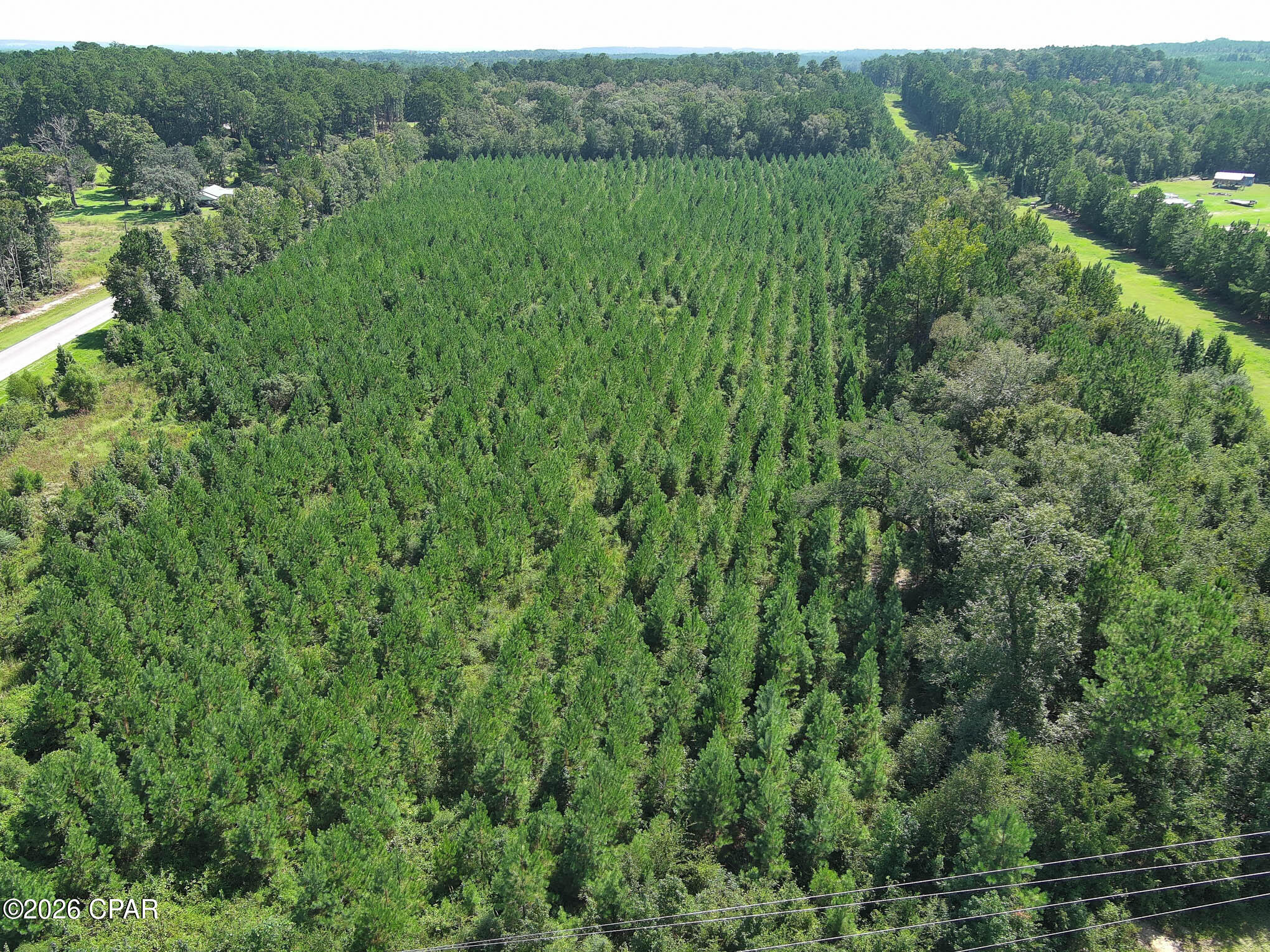 Photo 4 of Land for sale at Tbd Pioneer Rd, Chipley, FL 32428 | MLS# 795528 | Listing updated on 2026-09-17