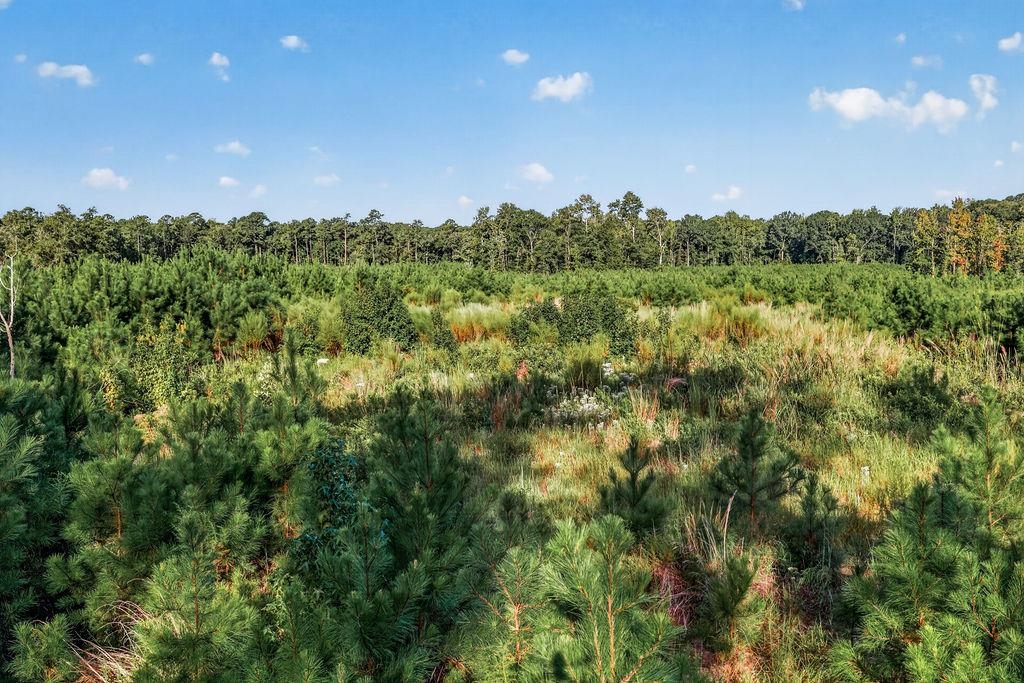 Land for sale at Tbd Albatross Rd, Georgetown, SC 29440 | MLS# 2623060