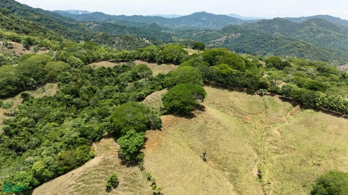 0 bed Land For Sale in Puntarenas, Puntarenas - 1