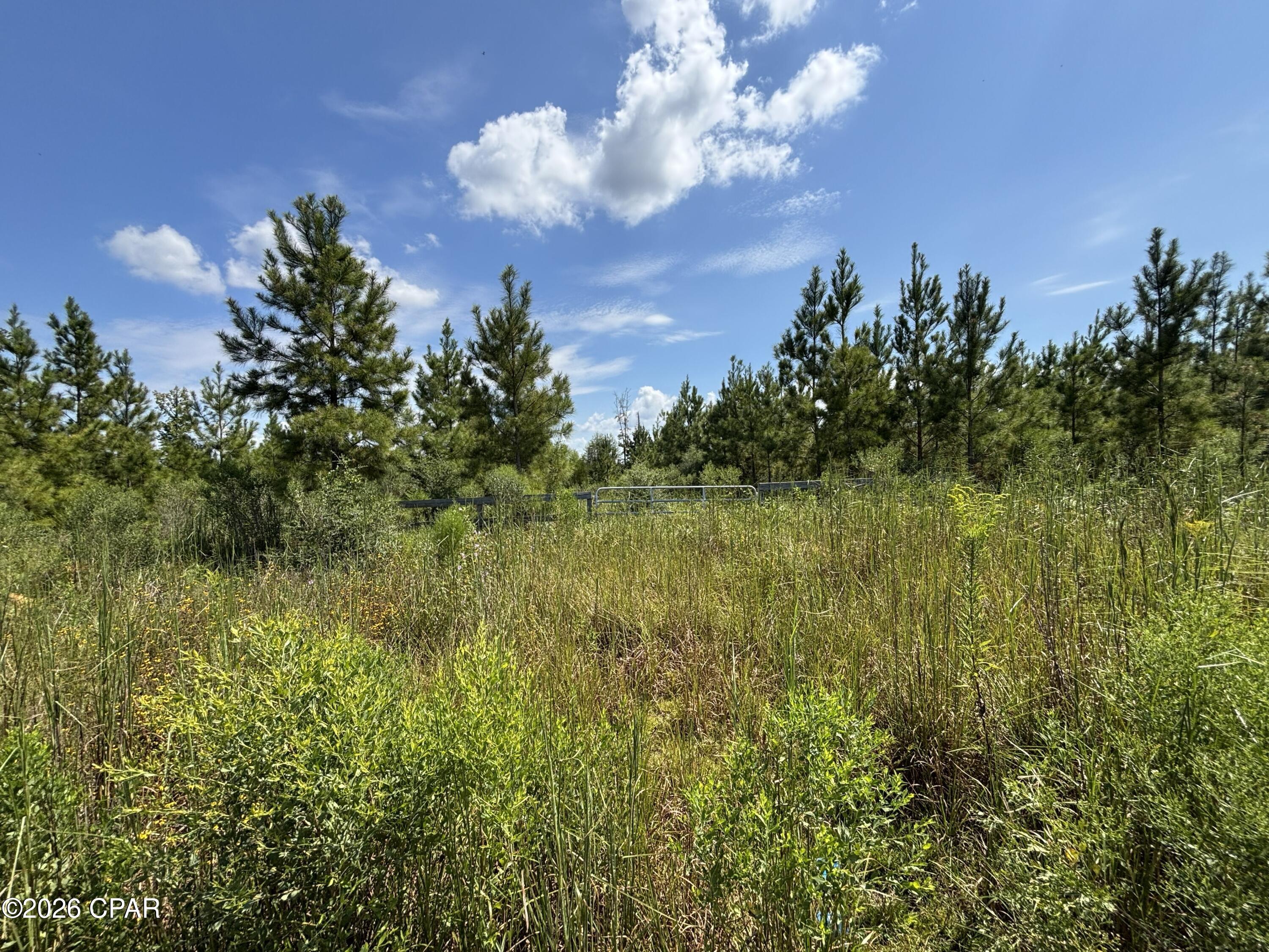 Photo 3 of Land for sale at Xxx Se Davis Peacock Rd #51, Blountstown, FL 32424 | MLS# 795626 | Listing updated on 2026-09-19