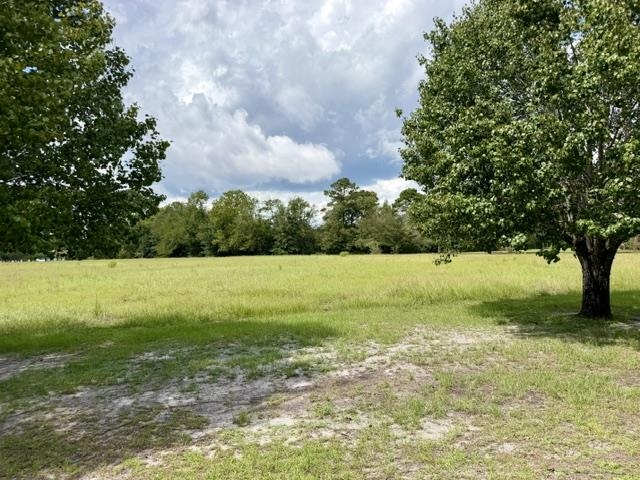 Photo 2 of Land for sale at Tbd Holly View Ln, Loris, SC 29569 | MLS# 2623242 | Listing updated on 2026-09-20