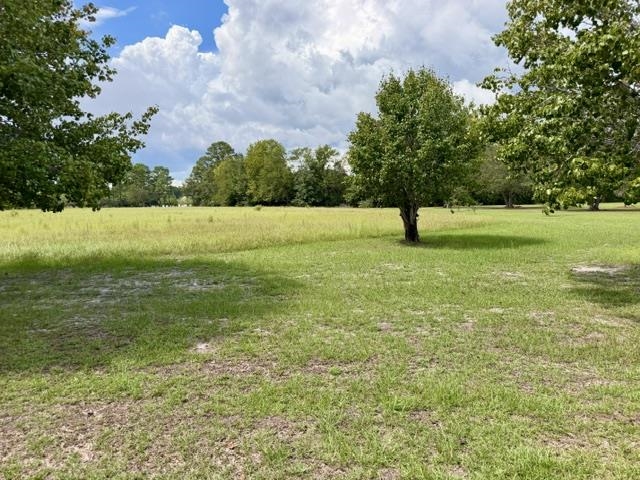 Photo 3 of Land for sale at Tbd Holly View Ln, Loris, SC 29569 | MLS# 2623242 | Listing updated on 2026-09-20