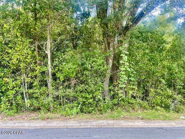 Land for sale at 0 Barnes St, Marianna, FL 32448 | MLS# 795684