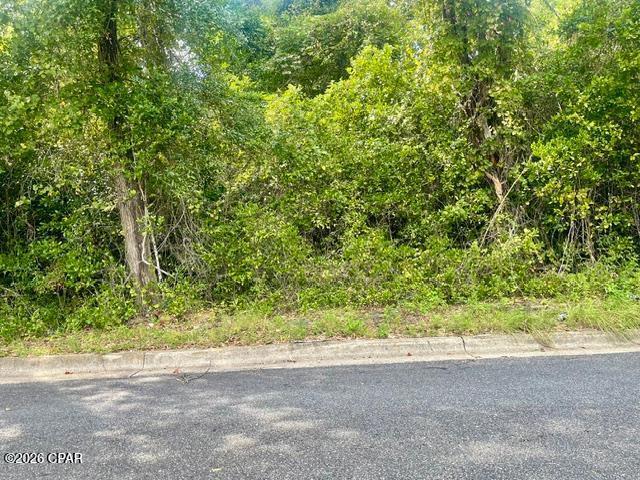 Photo 1 of Land for sale at 0 Barnes St, Marianna, FL 32448 | MLS# 795684 | Listing updated on 2026-09-22