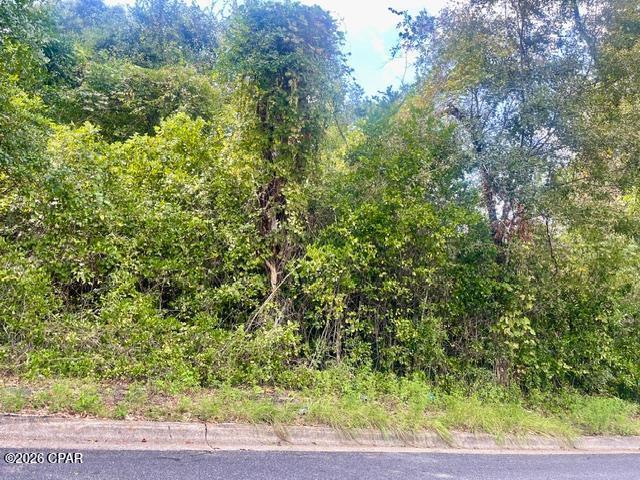 Photo 2 of Land for sale at 0 Barnes St, Marianna, FL 32448 | MLS# 795684 | Listing updated on 2026-09-22