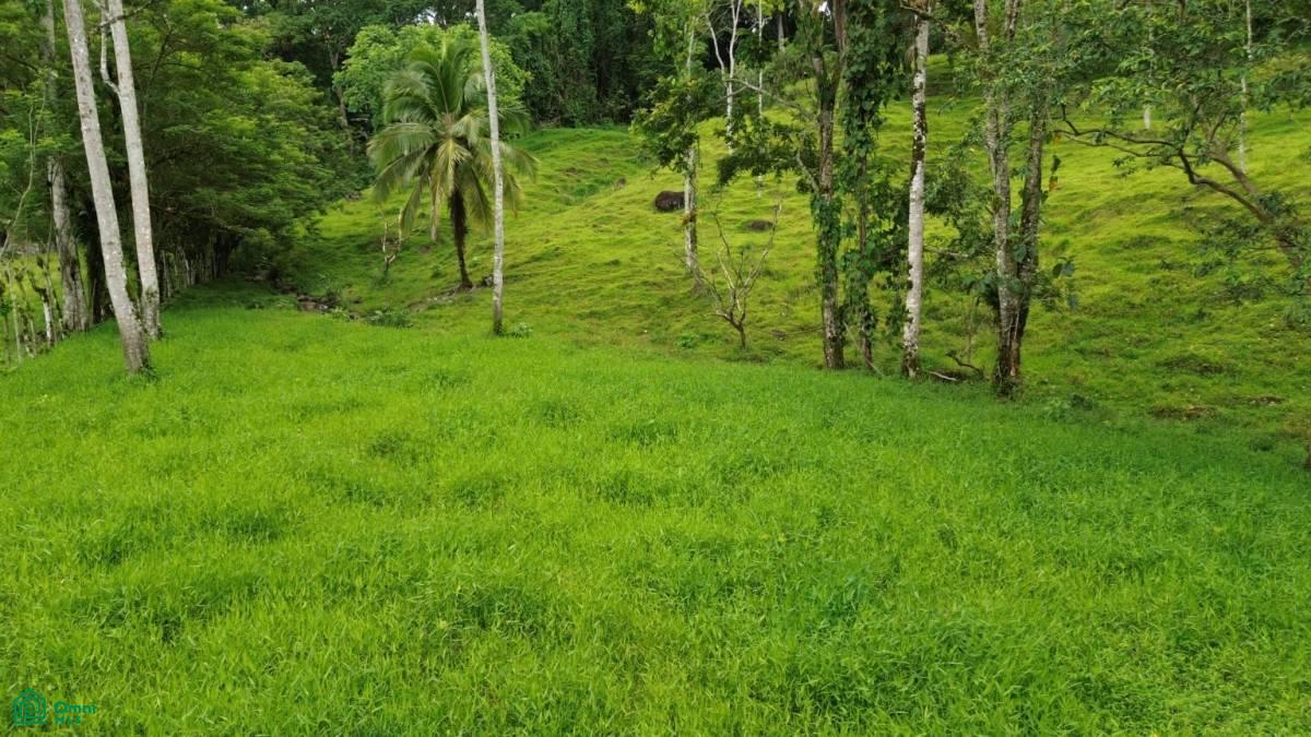 0 bed Land For Sale in Turrialba, Cartago - 1