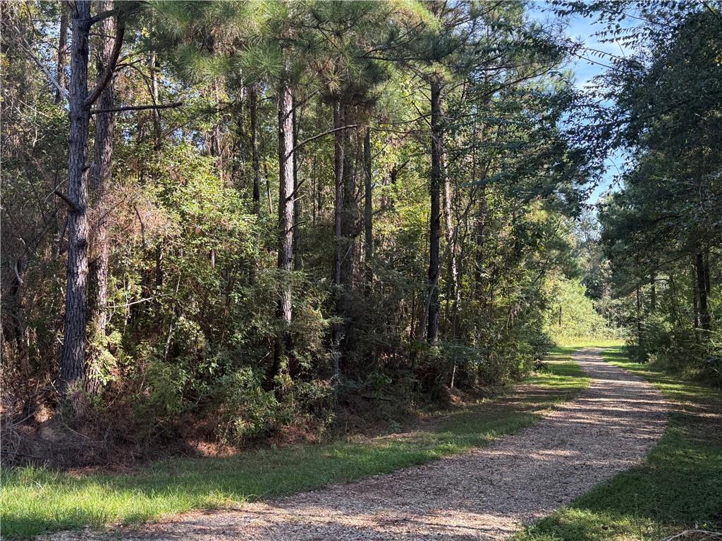 Land for sale at Tbd Izebella Dr, Amite, LA 70422 | MLS# 2578974