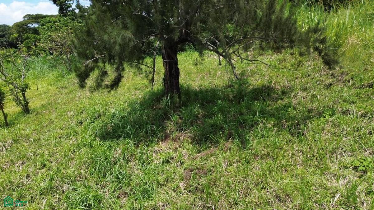 0 bed Land For Sale in Curridabat, San Jose - 1