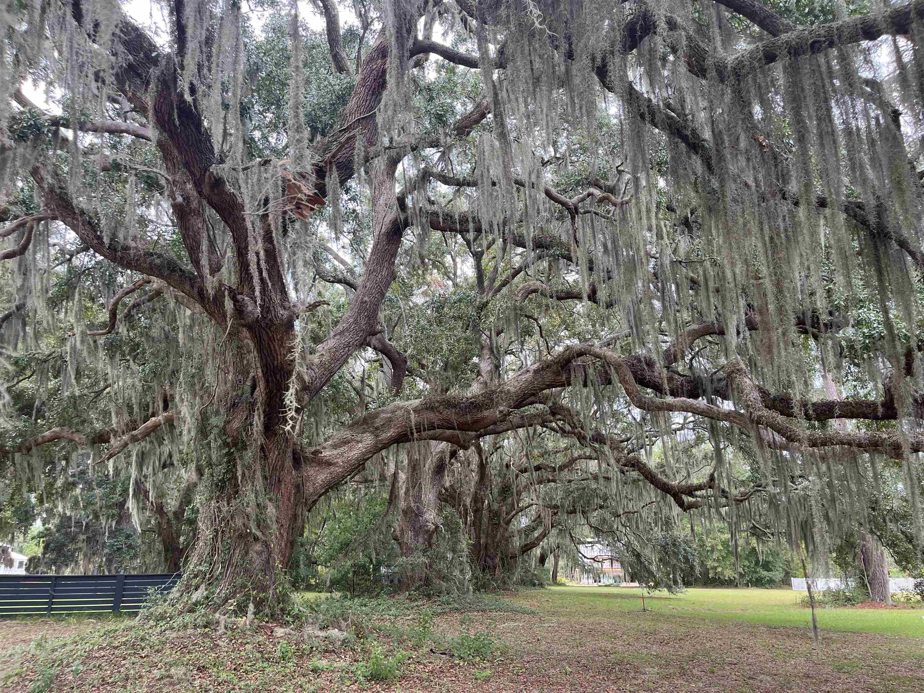 Photo 2 of Land for sale at Lot 50 Oak Bay Dr, Georgetown, SC 29440 | MLS# 2624405 | Listing updated on 2026-10-07
