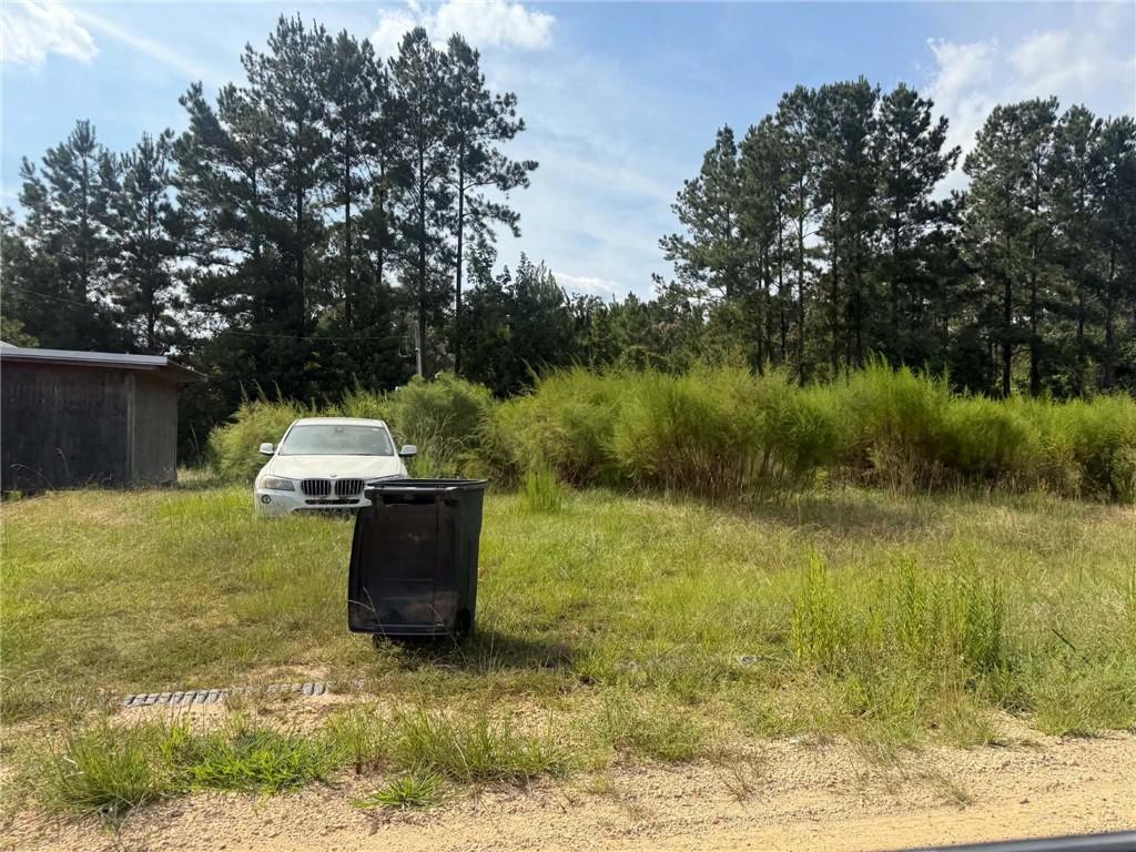 Photo 4 of Land for sale at 11 Penny Ln, Independence, LA 70443 | MLS# 2580129 | Listing updated on 2026-10-04