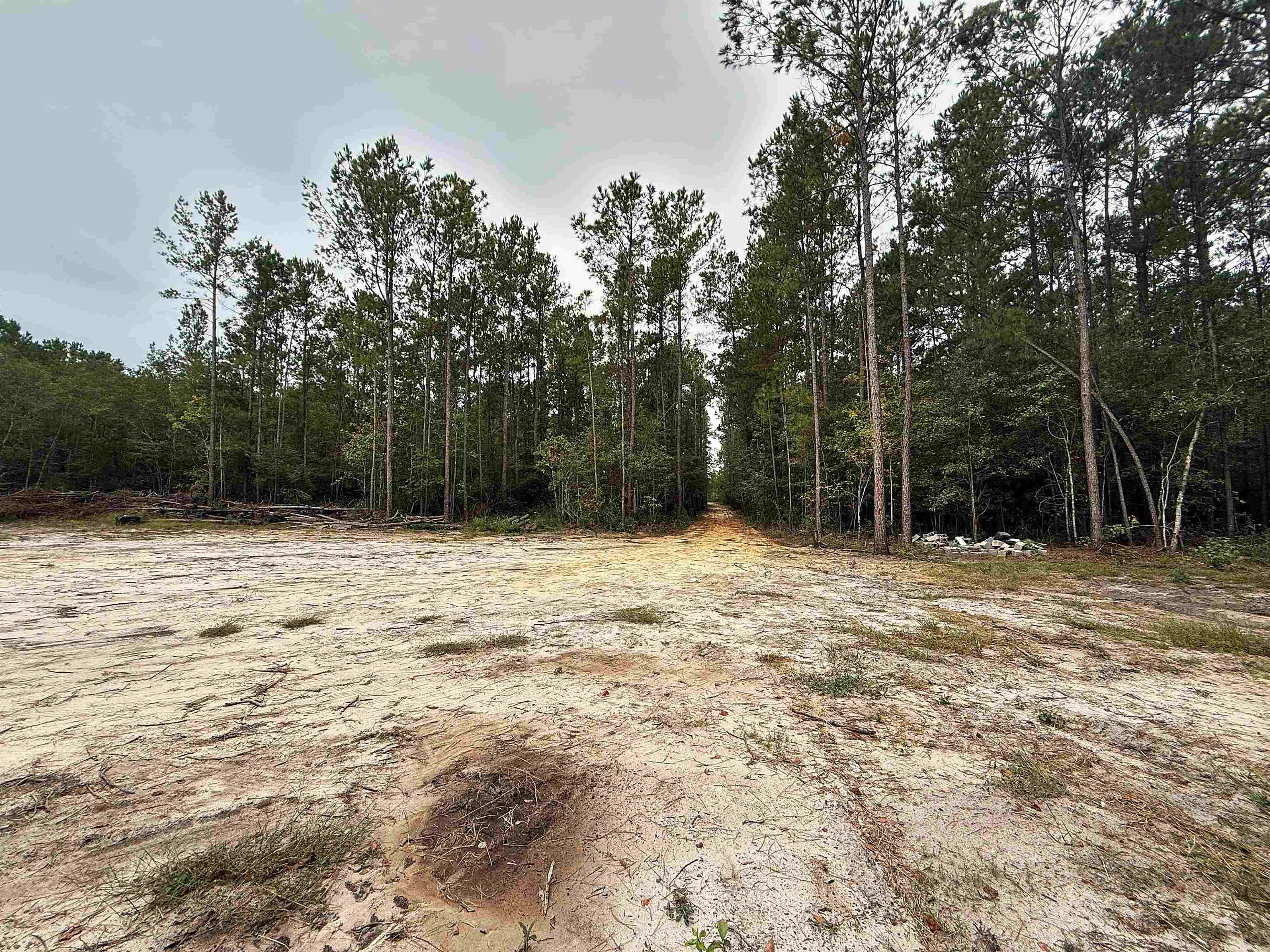 Photo 1 of Land for sale at 1682 Carriage Dr, Loris, SC 29569 | MLS# 2624447 | Listing updated on 2026-10-05