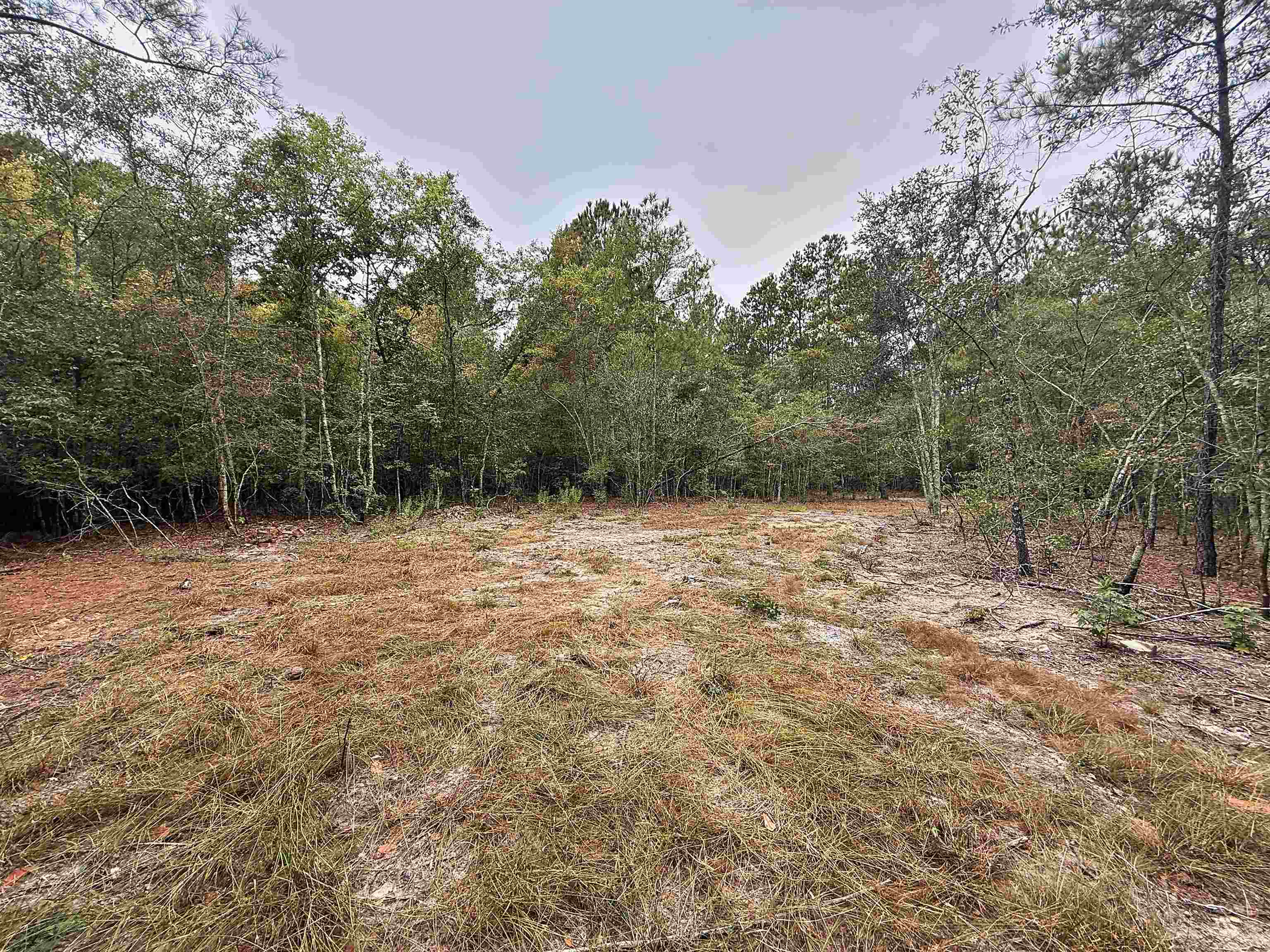 Photo 3 of Land for sale at 1682 Carriage Dr, Loris, SC 29569 | MLS# 2624447 | Listing updated on 2026-10-05