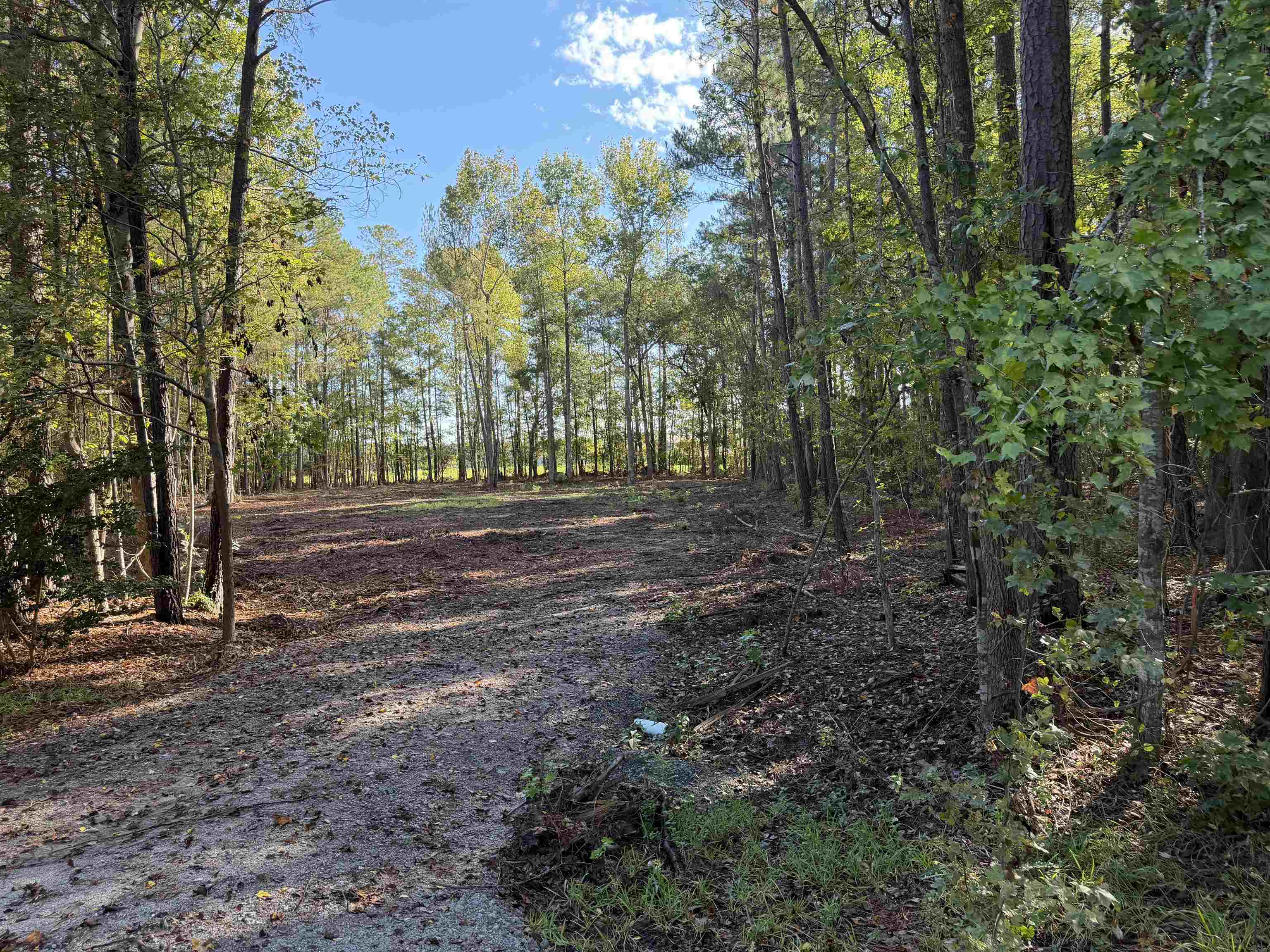 Photo 1 of Land for sale at Tract 1 Wise Rd, Conway, SC 29526 | MLS# 2624555 | Listing updated on 2026-10-06