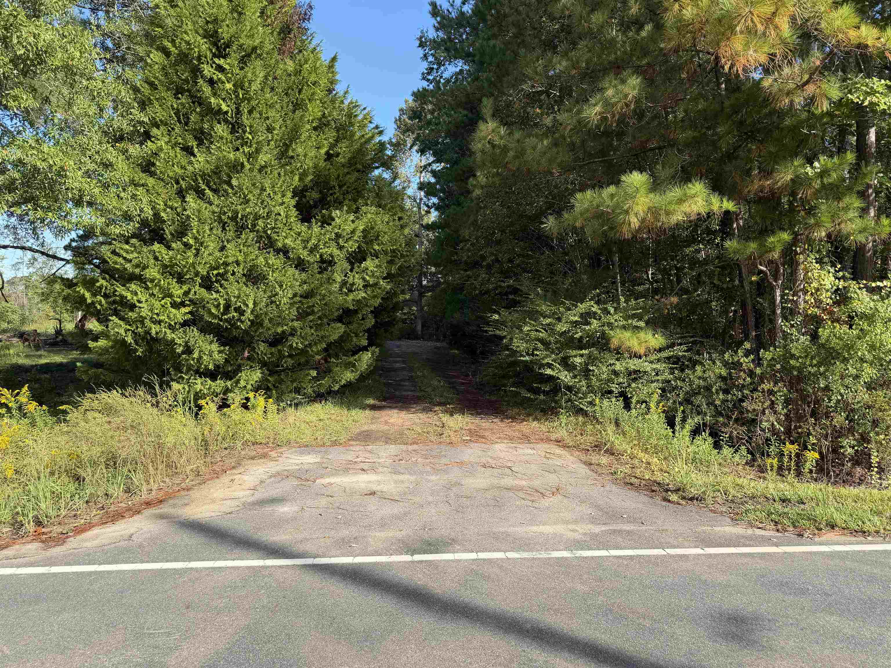Photo 4 of Land for sale at Tract 1 Wise Rd, Conway, SC 29526 | MLS# 2624555 | Listing updated on 2026-10-06