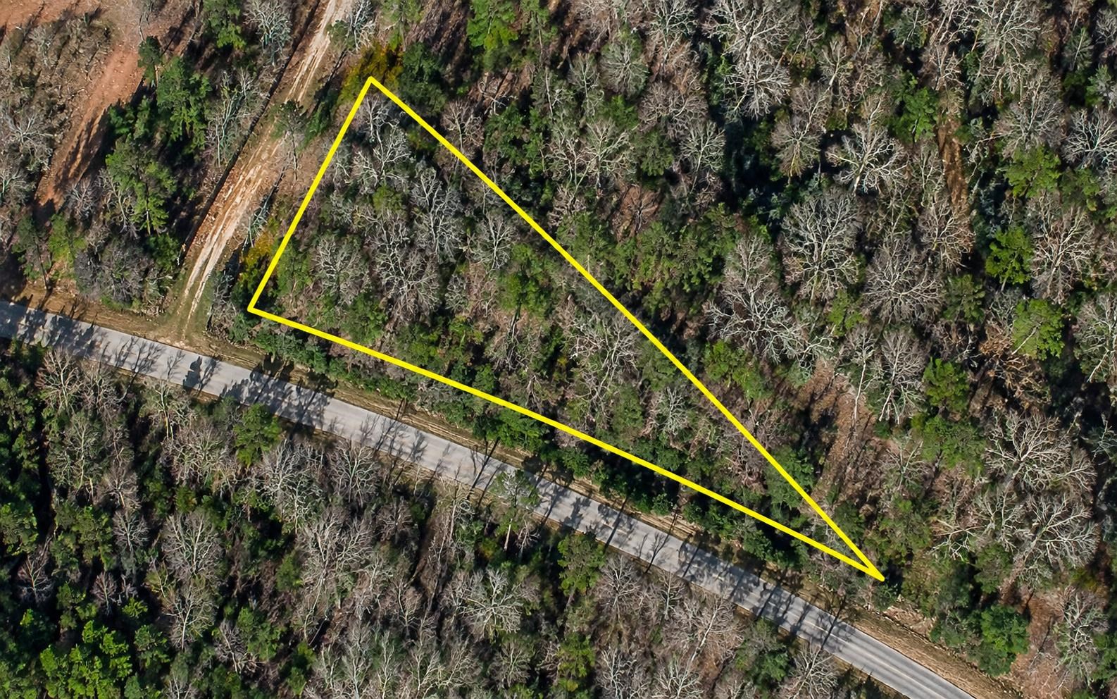 Land for sale at Tbd W County Line Rd, Hemingway, SC 29554 | MLS# 2624557