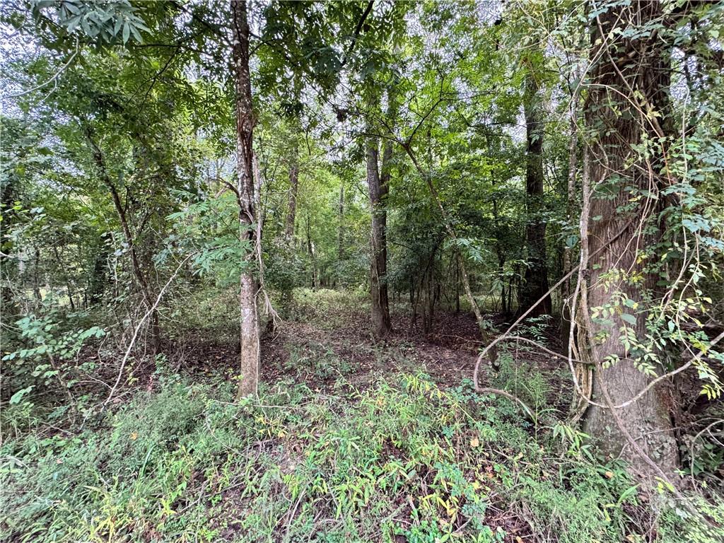 Land for sale at Lot 19 Pushepatappa Cut Off Rd, Bogalusa, LA 70427 | MLS# 2580544