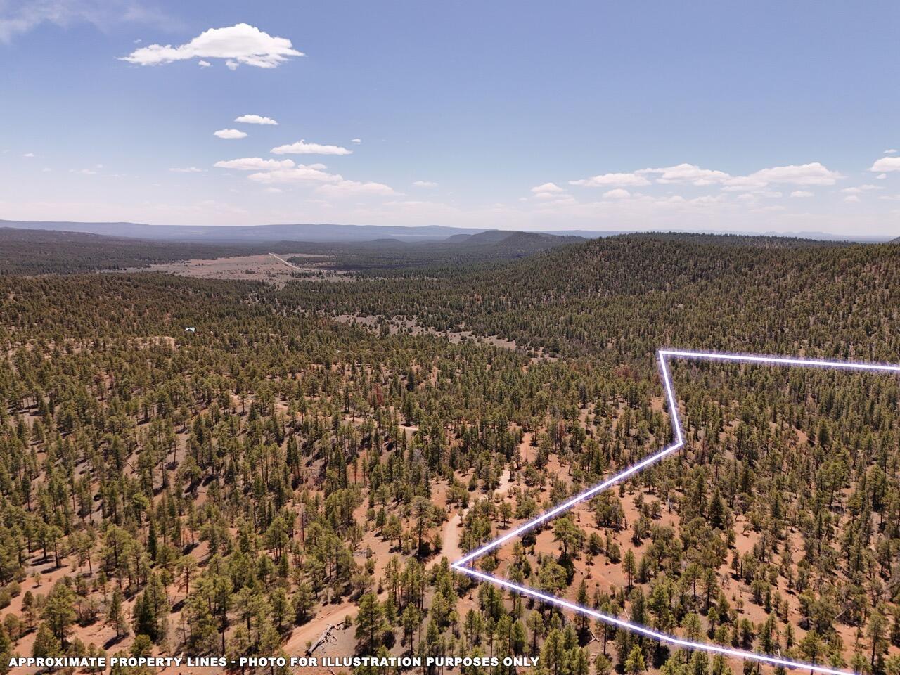 Photo 2 of Land for sale at Little Arrow 2485ac Trl, Ramah, NM 87321 | MLS# 1112100 | Listing updated on 2026-10-07
