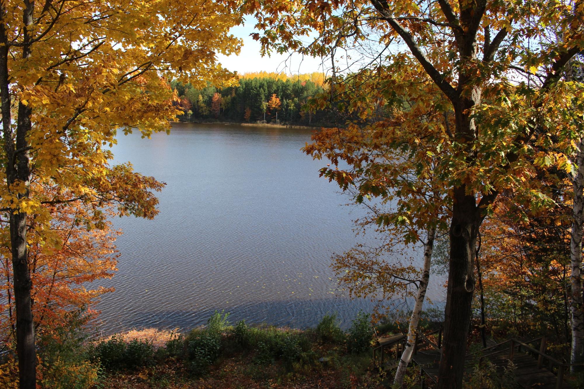 Swamsauger Lake Property 6690 Swamsauger Heights Rd Photo 39