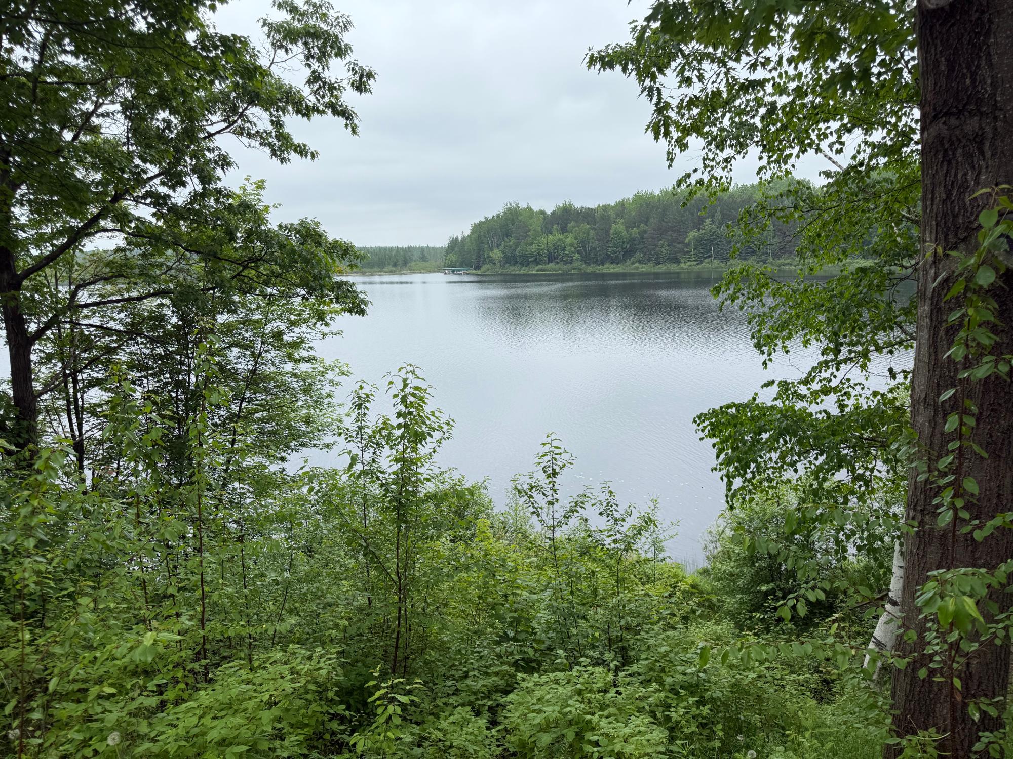 Swamsauger Lake Property 6690 Swamsauger Heights Rd Photo 53