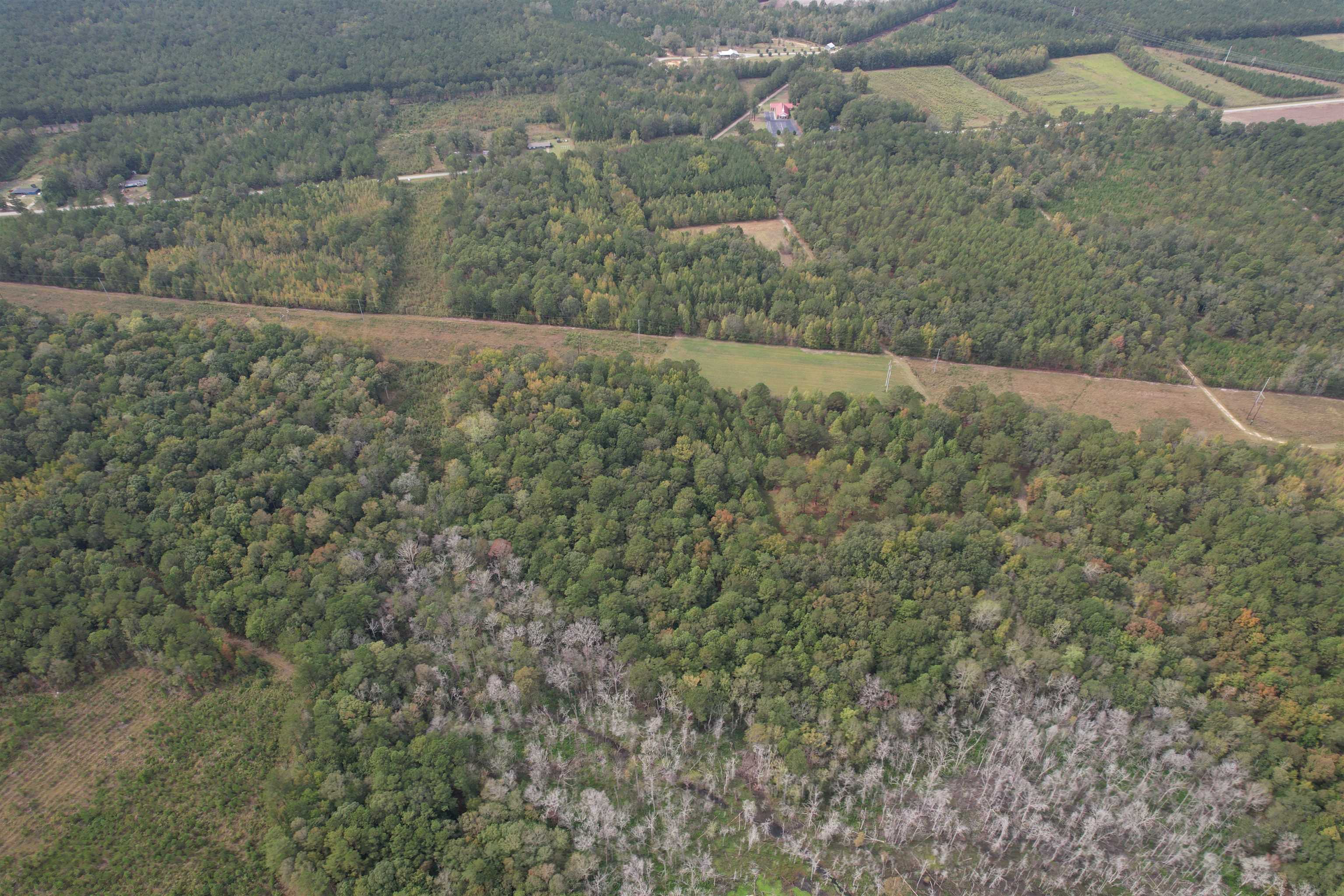 Photo 3 of Land for sale at 7+/- Acres Marion Church Rd, Salters, SC 29590 | MLS# 2624831 | Listing updated on 2026-10-09