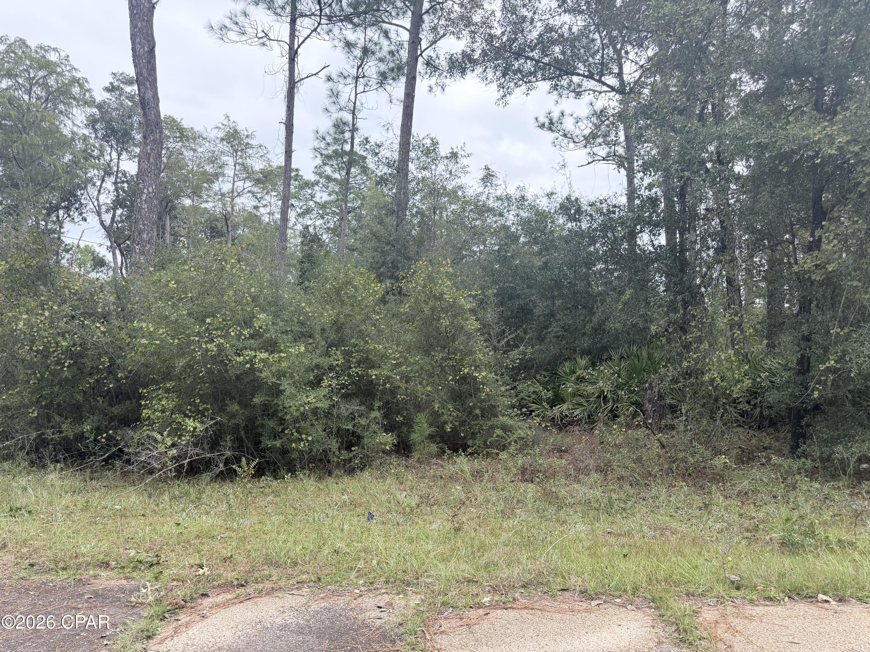 Photo 1 of Land for sale at Lot 1 Wellington Pl, Chipley, FL 32428 | MLS# 796451 | Listing updated on 2026-10-10