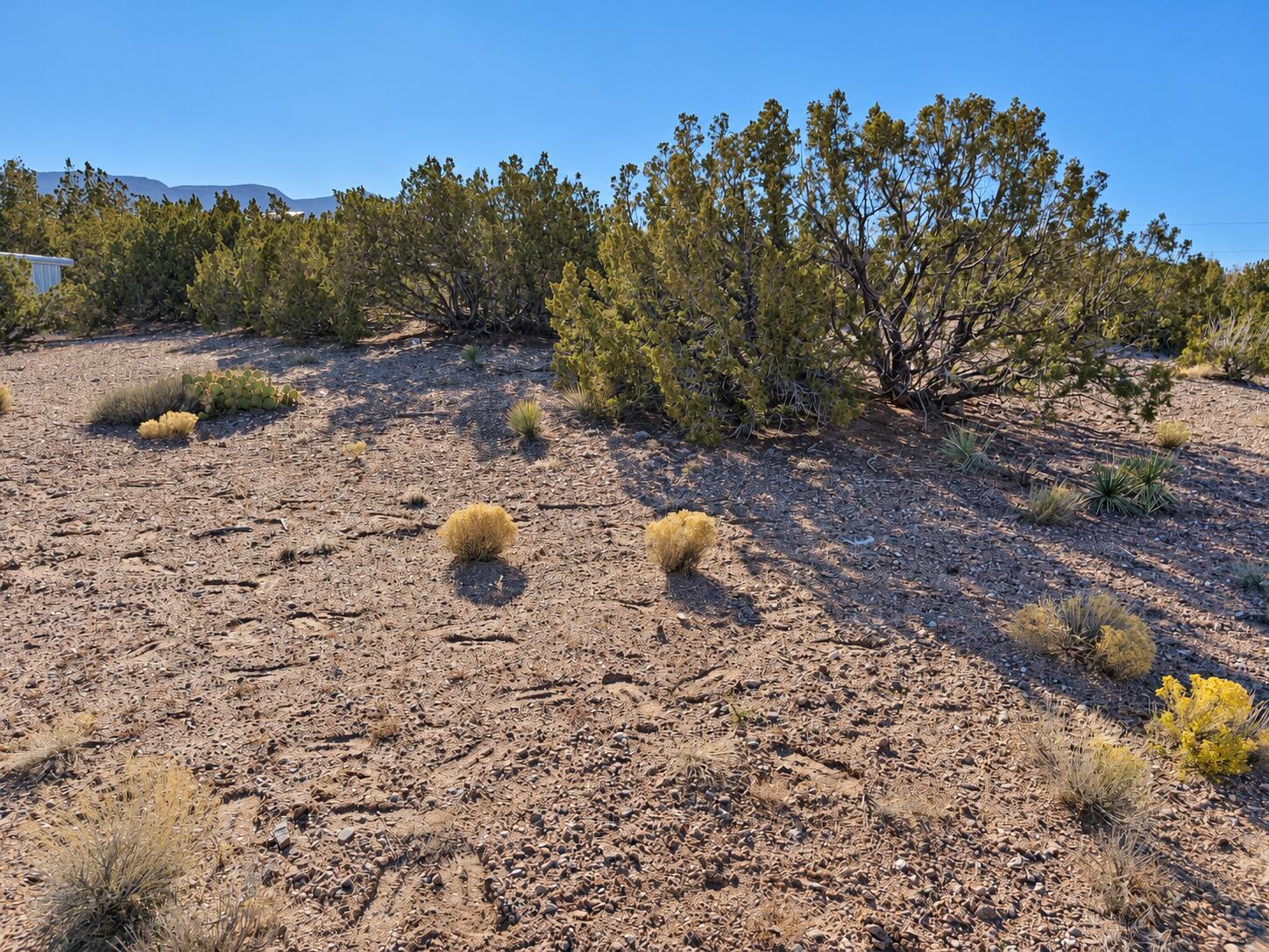 Photo 1 of Land for sale at 74 Desert Mountain Rd, Placitas, NM 87043 | MLS# 1112327 | Listing updated on 2026-10-11